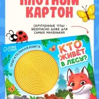Книга детская тактильная &laquo;Кто живёт в лесу?&raquo;, 12 стр., 7 вставок