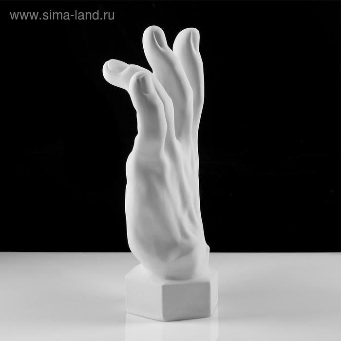Гипсовая фигура кисть вертикальная, 14 х 31,5 х 42 см Гипсовая фигура кисть вертикальная, 14 х 31,5 х 42 см