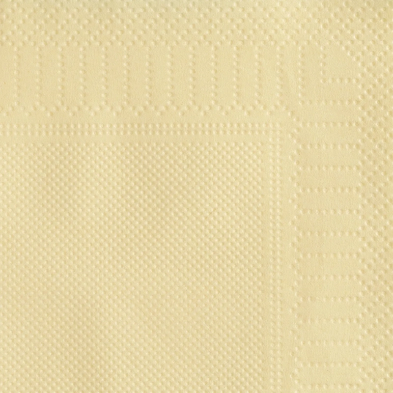 Салфетки бумажные 2сл 23х24 см шампань 250 шт/уп