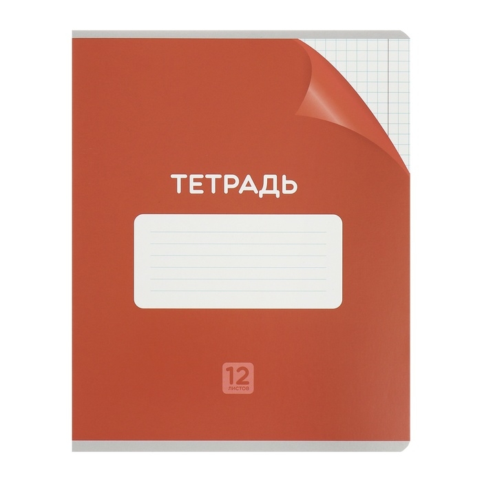 Комплект тетрадей из 10 штук, 12 листов в клетку Calligrata Комплект тетрадей из 10 штук, 12 листов в клетку Calligrata "Однотонная Классика с уголком", обложка мелованный картон, ВД-лак, блок №2, белизна 75% (серые листы), 5 видов по 2 штуки