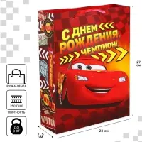 Пакет подарочный &laquo;С Днем рождения, чемпион!&raquo;, 23&times;27&times;11.5 см