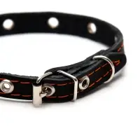 Ошейник кожаный однослойный с рифлеными люверсами, 35&times;1.2 см, ОШ 10-28 см, безразмерный, микс цветов