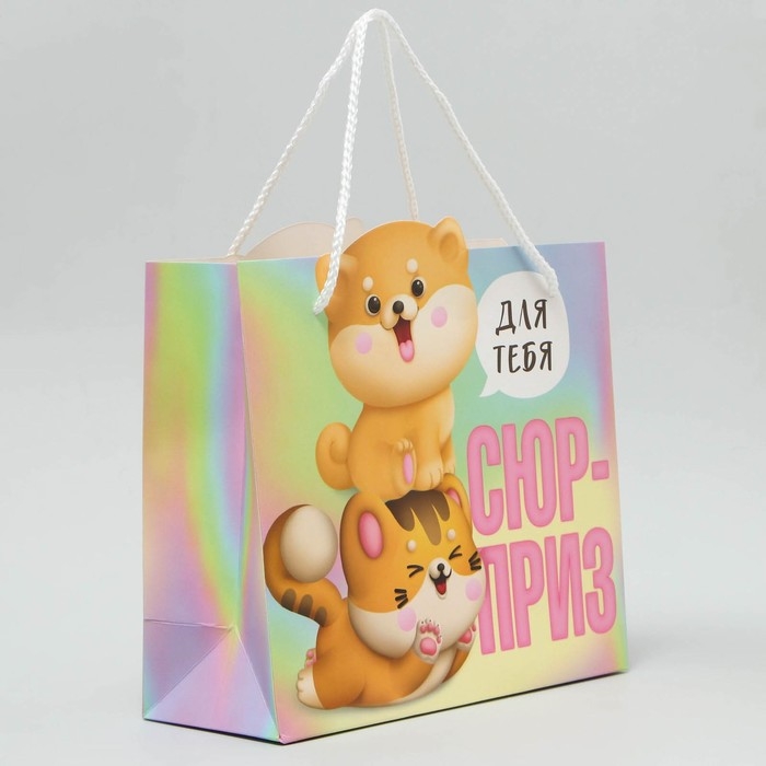 Пакет подарочный, упаковка, «Сюрприз», 25 х 26 х 10 см Пакет подарочный, упаковка, «Сюрприз», 25 х 26 х 10 см