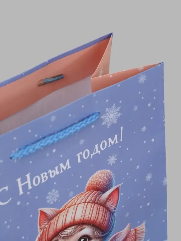 Пакет подарочный &laquo;С Новым годом! Котик на санках&raquo; 18&times;10&times;22.3 см