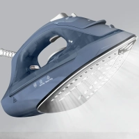 Паровой утюг Virtuo 30 FV2C60E0, мощность 2200 Вт