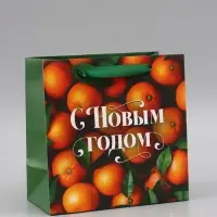 Пакет подарочный &laquo;С Новым годом&raquo;, мандарины, 22&times;22&times;11 см