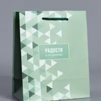 Пакет подарочный ламинированный "Радости и позитива" 18 х 22,3 х 10 см