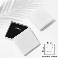 Коробочка подарочная под набор &laquo;Животный принт&raquo;, симпл, 9&times;9&times;2 см, (полезная часть 8.5&times;8.5 см), вставка чёрная, белая