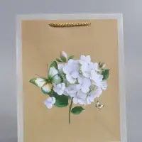 Пакет подарочный "С днём Рождения!! ламинированный 18 х 22,3 х 10 см