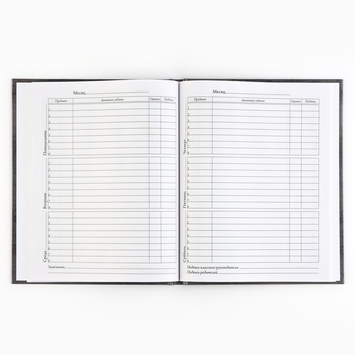 Дневник школьный 5-11 класс, в твердой обложке, 48 л. &laquo;Россия&raquo;