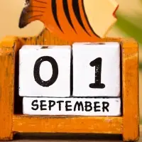 Календарь настольный "Рыбка" дерево 7х4х9 см, цв. оранжевый