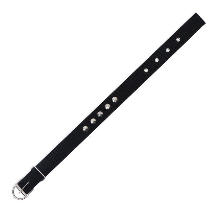 Ошейник клепаный, 48,5 х 3 см, ОШ 31-40 см, полиэстер, чёрный Ошейник клепаный, 48,5 х 3 см, ОШ 31-40 см, полиэстер, чёрный