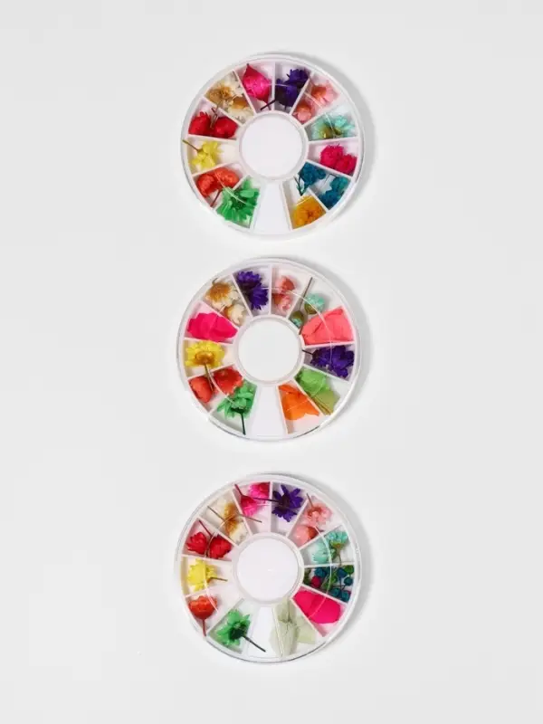 Сухоцветы для декора &laquo;Ромашки&raquo;, объёмные, 12 видов, в футляре, разноцветные