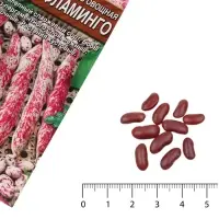 Семена Фасоль овощная &laquo;Фламинго&raquo;, 5 г, &laquo;АЭЛИТА&raquo;