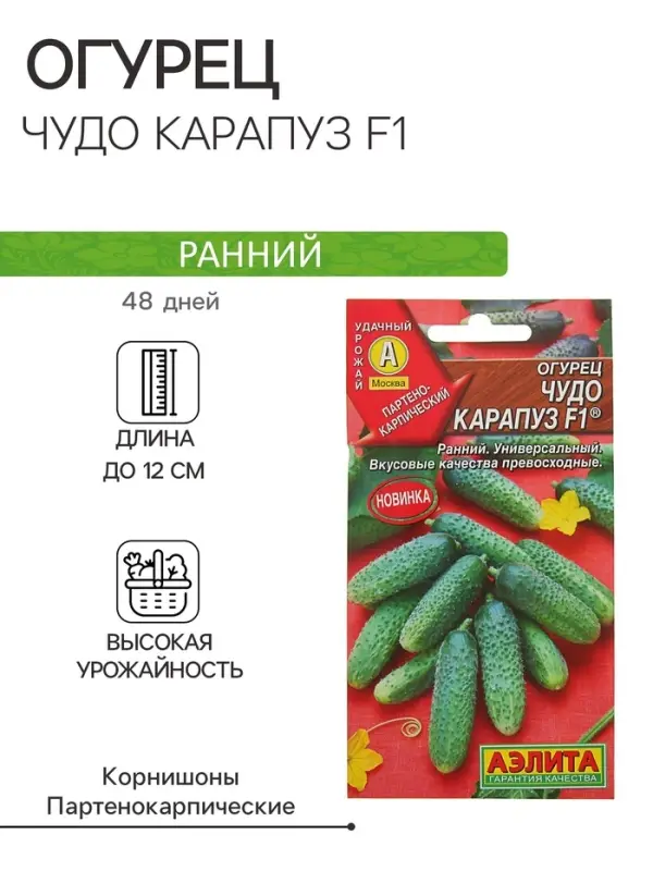 Семена Огурец Семена Огурец "Чудо карапуз F1", 10 шт.