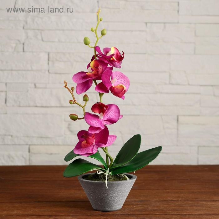 Композиция в горшочке  Композиция в горшочке "Орхидея" 10х28 см, микс