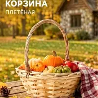 Корзина плетёная для хранения, 25&times;25&times;18 см, ручка h=8 см, лоза, натуральная