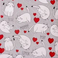 Бумага упаковочная глянцевая двухсторонняя &laquo;Коты&raquo;, 70&times;100 см
