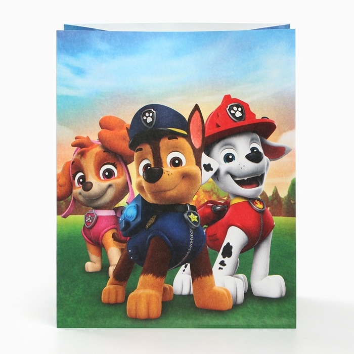 Набор крафтовых пакетов со стикерами, Щенячий патруль, 18х22х12 см Набор крафтовых пакетов со стикерами, Щенячий патруль, 18х22х12 см