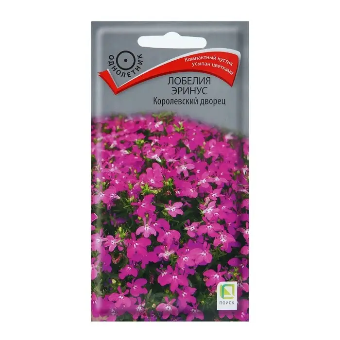 Семена цветов Лобелия эринус  Семена цветов Лобелия эринус "Королевский дворец", 0,1 г