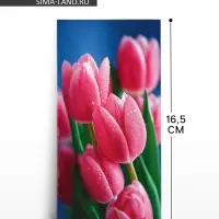 Конверт для денег &laquo;Красивые цветы&raquo;, 16.5&times;8 см