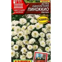 Семена цветов Астра Пиноккио белая Цветущий балкон, Ц/П,0,05 г Семена цветов Астра Пиноккио белая Цветущий балкон, Ц/П,0,05 г