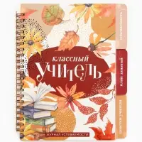 Журнал успеваемости на год, А5, 80 л., мягкая обложка &laquo;Классный учитель&raquo;