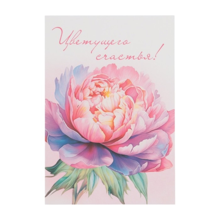 Набор мини-открыток  Набор мини-открыток "Цветы" 7,6 х 10,6 см