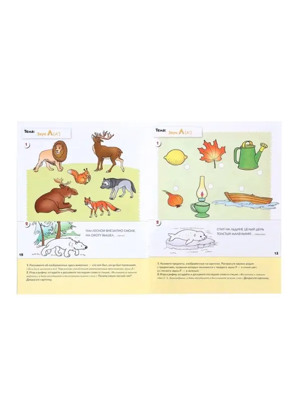 Рабочие тетради &laquo;Математика, прописи, развитие речи, уроки грамоты&raquo;, средняя группа 4+, набор 4 шт.