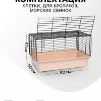Клетка для кроликов, морских свинок &laquo;Пижон&raquo; №4 складная, 80&times;50&times;47 см, бежевая