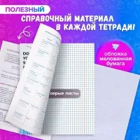 Тетради предметные 36 листов &laquo;Животные мемы&raquo;, 12 предметов, серые листы