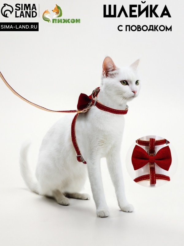 Комплект амуниции "Шахматный джентельмен", поводок 120 х 1 см, красный