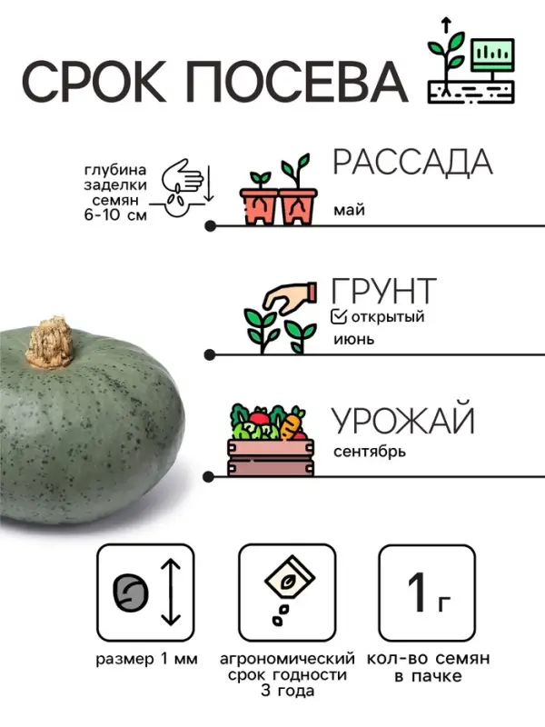 Семена Тыква мускатная "Прикубанская", 2 г