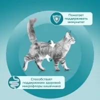 Влажный корм Purina One для домашних кошек, курица/морковь, 75 г