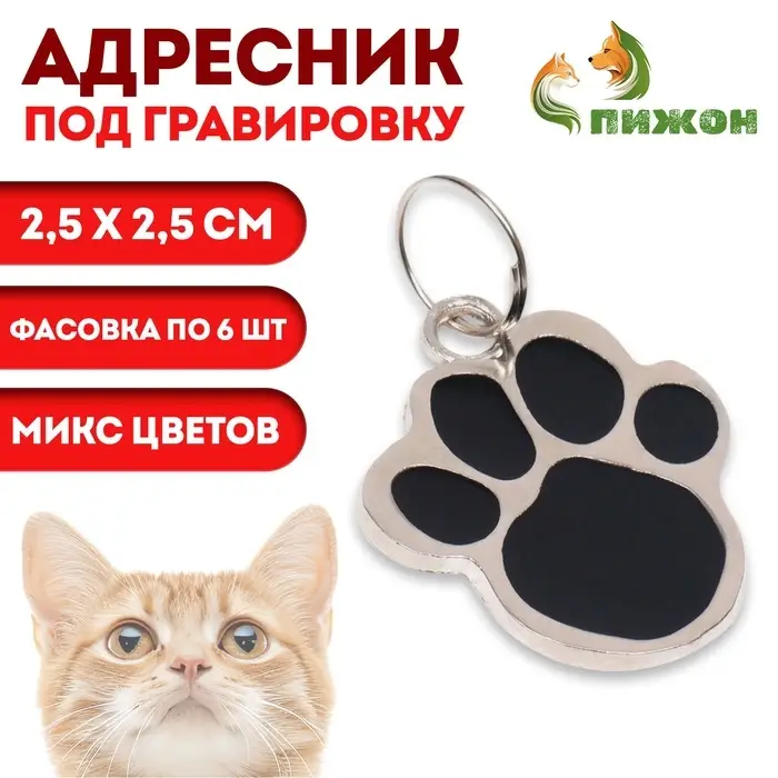 Адресник под гравировку &laquo;Лапа&raquo;, 2.5&times;2.5 см, фасовка по 6 шт., металл, цвет МИКС