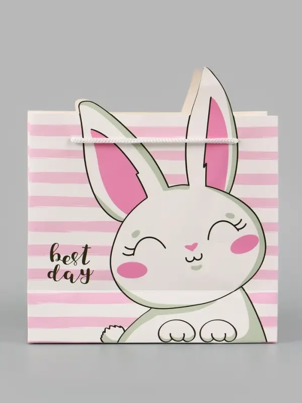 Пакет подарочный, упаковка, &laquo;Best day&raquo;, 25&times;26&times;10 см
