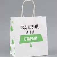 Пакет подарочный, крафтовый &laquo;Новогодний&raquo;, 22&times;25&times;12 см