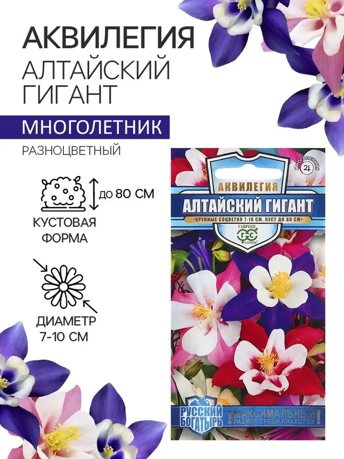 Семена аквилегия «Алтайский гигант», цветной пакет, 0.05 г Семена аквилегия «Алтайский гигант», цветной пакет, 0.05 г
