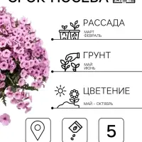 Семена цветов Петуния &laquo;Минибелло&raquo; F1, сиреневая звезда, многоцветковая, 5 шт., Farao, &laquo;АЭЛИТА&raquo;