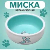 Миска для кроликов, 200 мл, 10&times;3.7 см, керамика, белая, зелёная