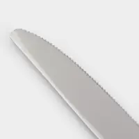 Нож столовый Magistro Workshop, длина 22 см, нержавеющая сталь, серебристый