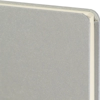 Ежедневник недатированный серебр, MEGAPOLIS А5, 142х214мм,320стр.3-281/07