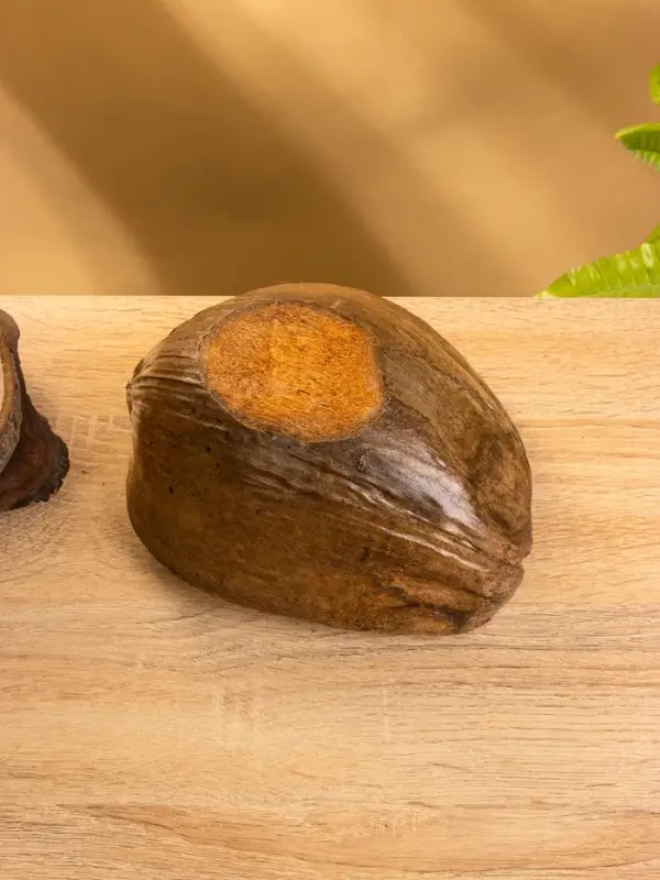 Чаша из кокоса, 15.5×21×7 см, коричнево-золотая Чаша из кокоса, 15.5×21×7 см, коричнево-золотая