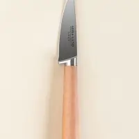 Нож кухонный овощной SL Home &laquo;Калабрия&raquo;, нержавеющая сталь, 8.5 см, бежевый