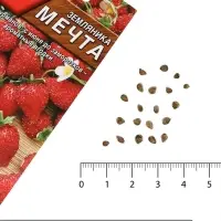 Семена Земляника &laquo;Мечта&raquo;, альпийская, 0.04 г, &laquo;Аэлита&raquo;