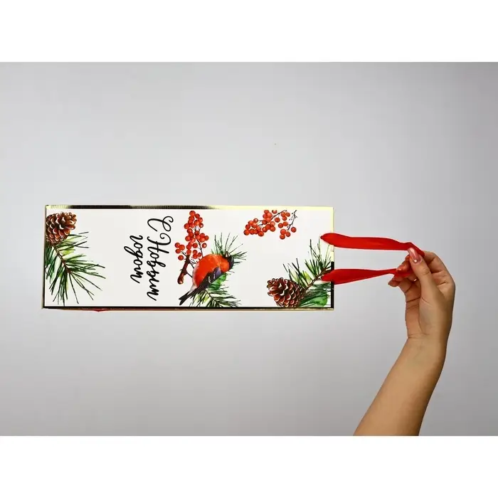 Набор пакетов под бутылку «С Новым годом» Набор пакетов под бутылку «С Новым годом»