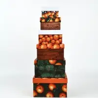 Набор подарочных коробк 6 в 1 «Яркие мандарины», 10×10×6–20×20×11 см