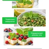 Семена Мелисса лекарственная &laquo;Лимонный аромат&raquo; 0.1 г, &laquo;Рецепты дедушки Никиты&raquo;