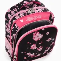Рюкзак школьный для девочки, с эргономичной спинкой, с пеналом, 30&times;12&times;36 см, чёрный, розовый