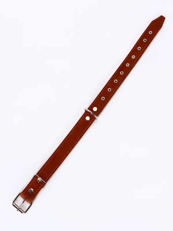 Ошейник комбинированный, безразмерный, 65&times;3.5 см, ОШ 31-61 см, кожа, брезент, коричневый